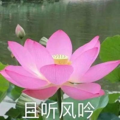 2024钱塘江每天涨潮时间表（持续更新）